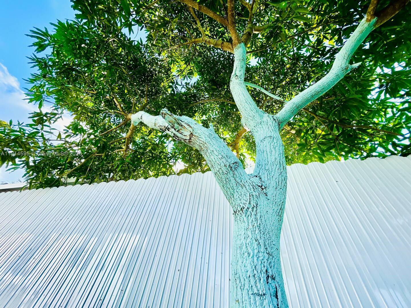 10245 SW 212th St Cutler Bay, FL 33189