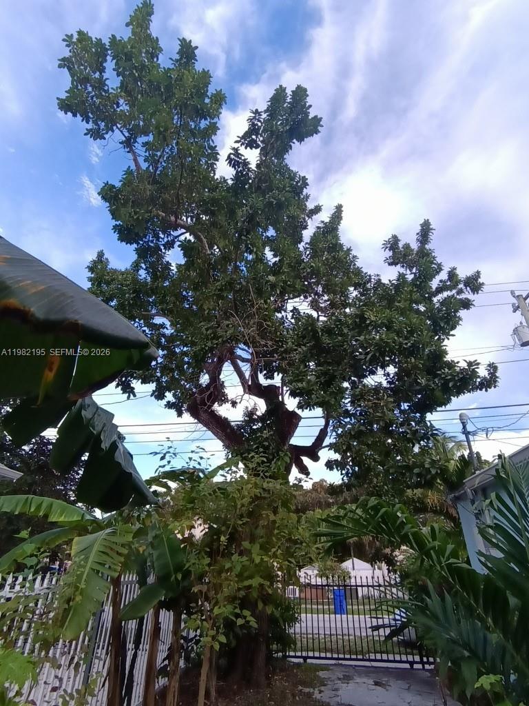 294 NE 57th St Miami, FL 33137