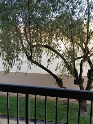 10425 SW 112th Ave #211 Miami, FL 33176