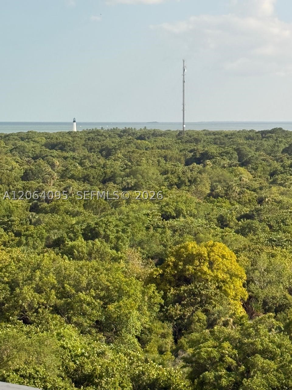 image Towers of Key Biscayne31