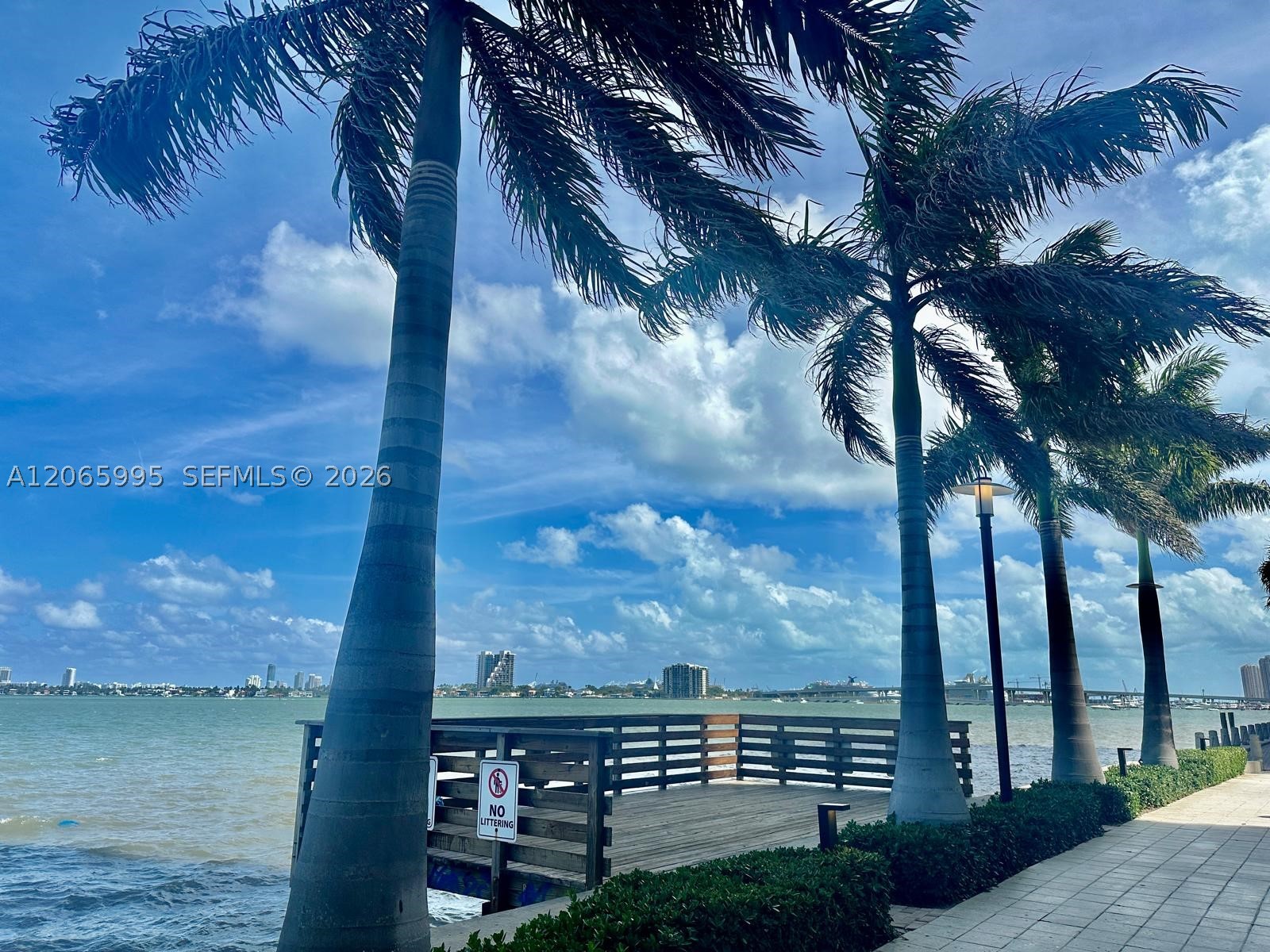 image 23 Biscayne Bay23