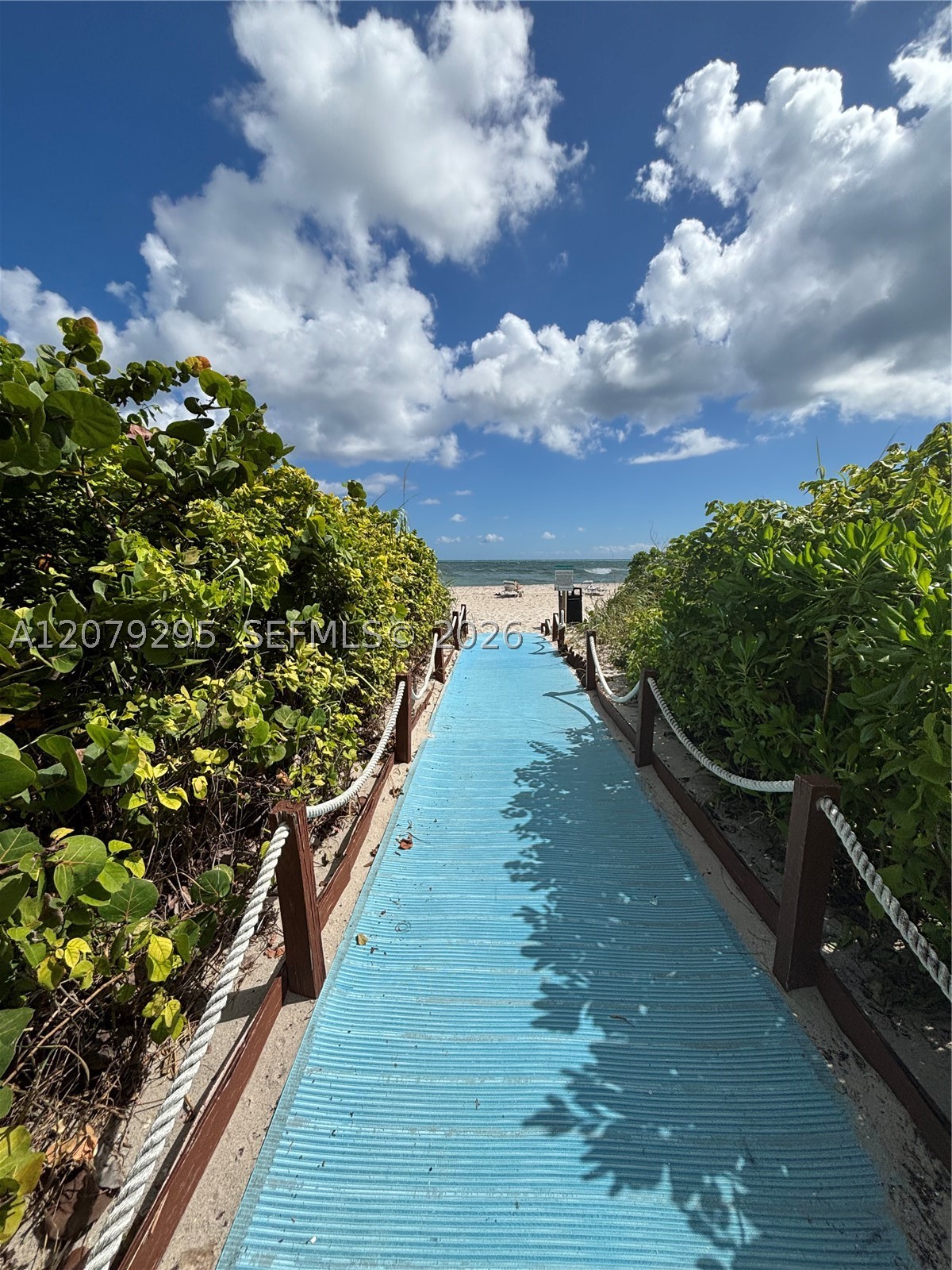 image 2080 Ocean Drive12