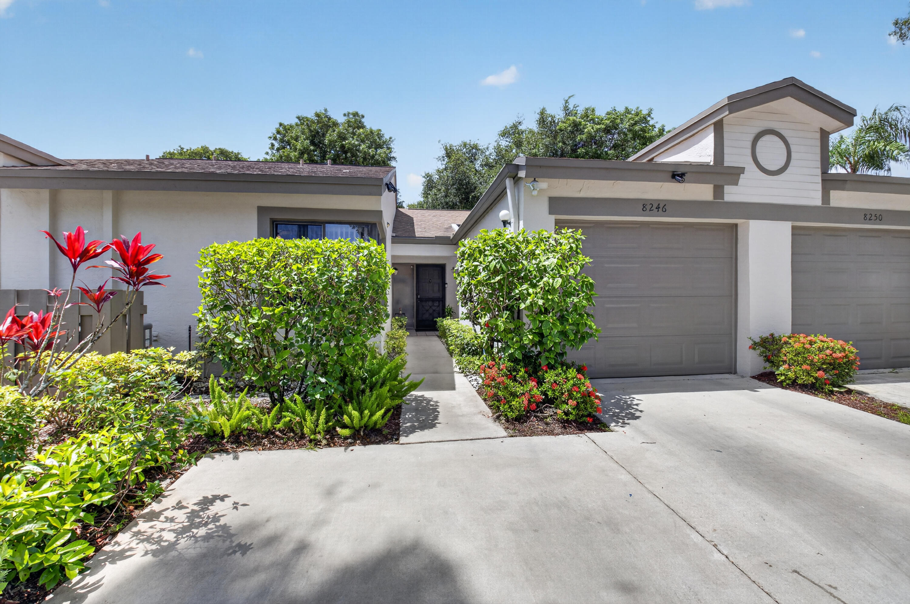 8246 Springview