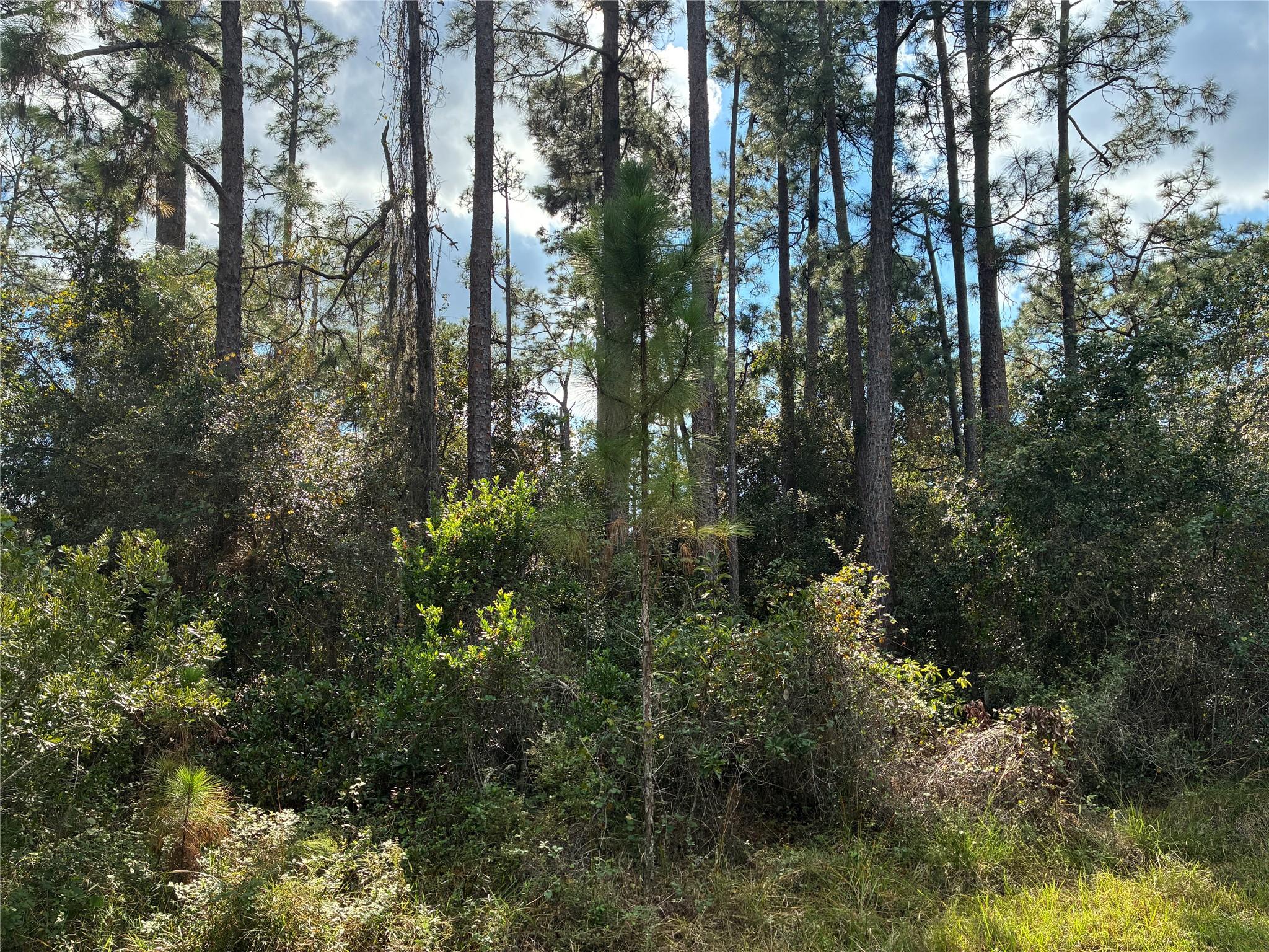 Lot 15, Block 75 Park Ave Indian Lake Estates, FL 33855