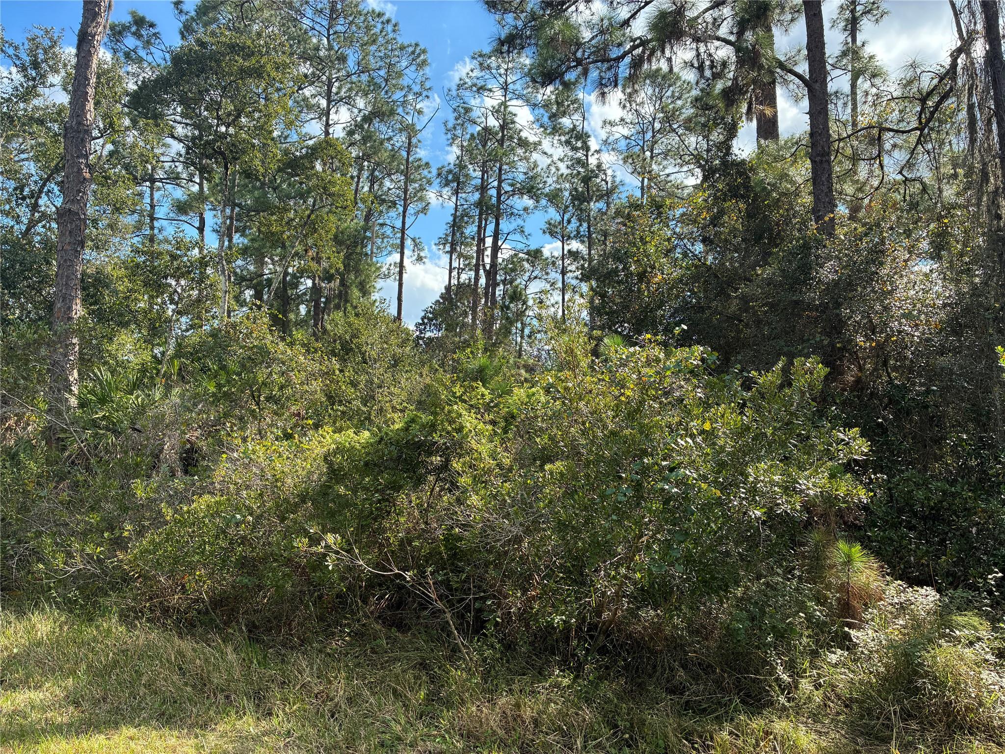 Lot 15, Block 75 Park Ave Indian Lake Estates, FL 33855
