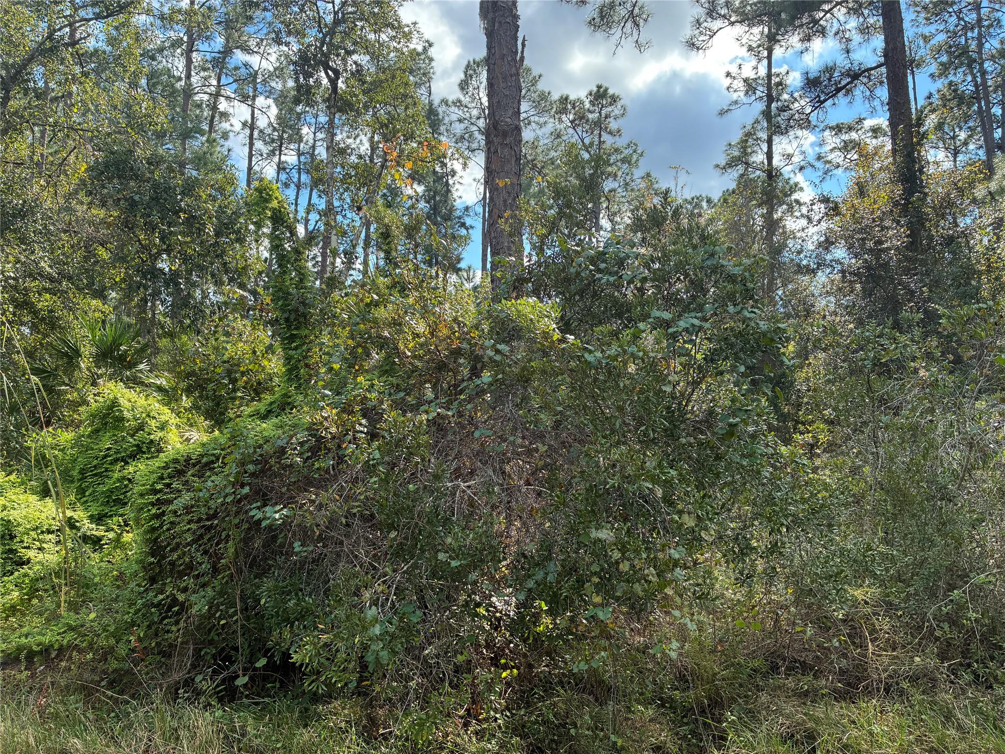 Lot 15, Block 75 Park Ave Indian Lake Estates, FL 33855