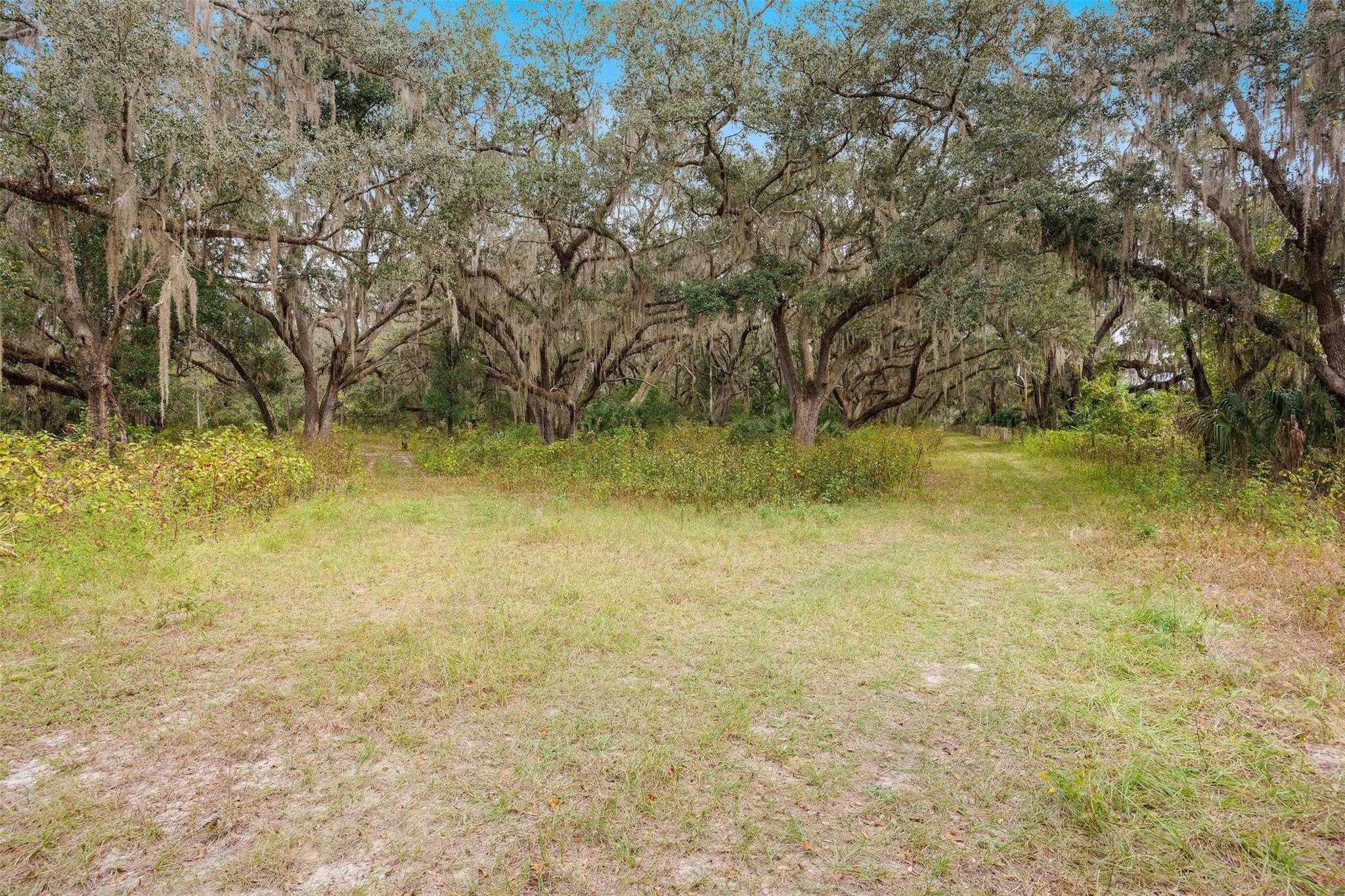 41526 Saddle Rdg Ln Wildwood, FL 32195