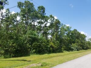 Z-439 Key Lime Blvd