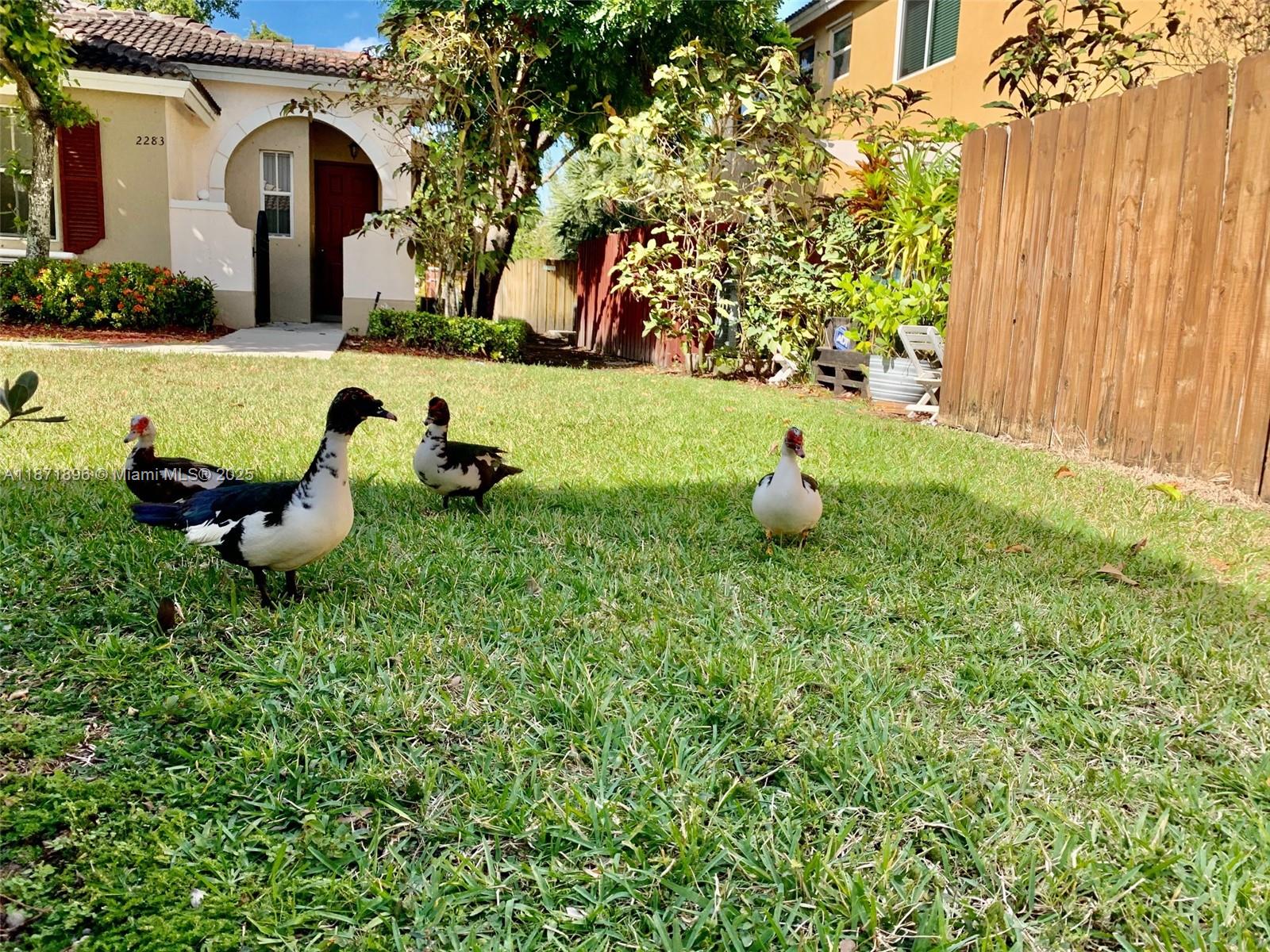 2267 NE 42nd Cir #2267 Homestead, FL 33033