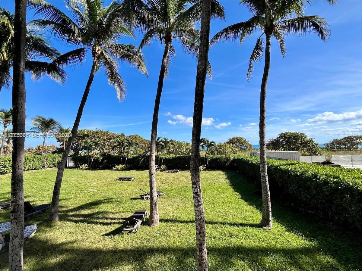 image Carlisle on the Ocean19