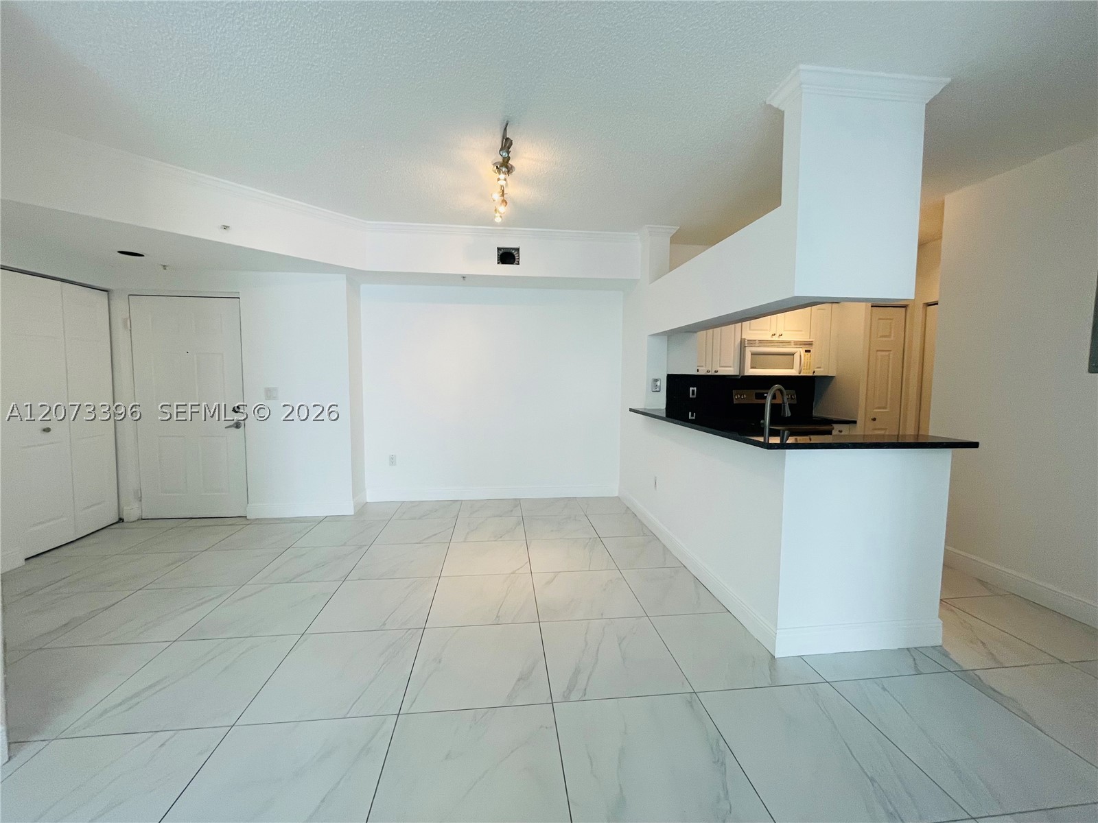 17150 N Bay Rd #2902