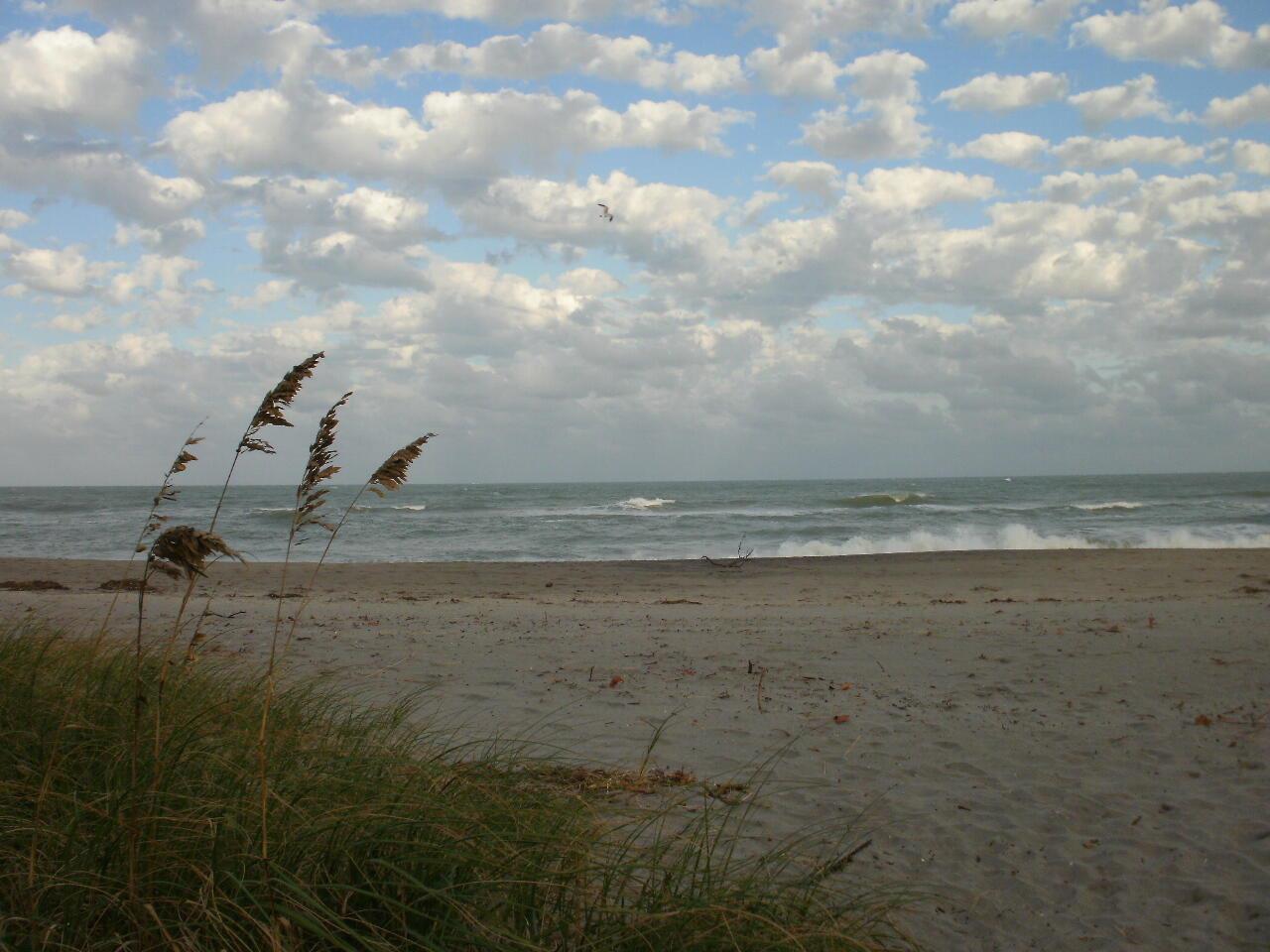 601 Seafarer Cir #101 Jupiter, FL 33477