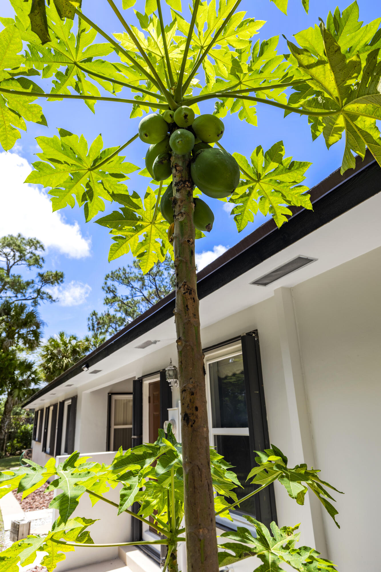 8785 Thousand Pines West Palm Beach, FL 33411