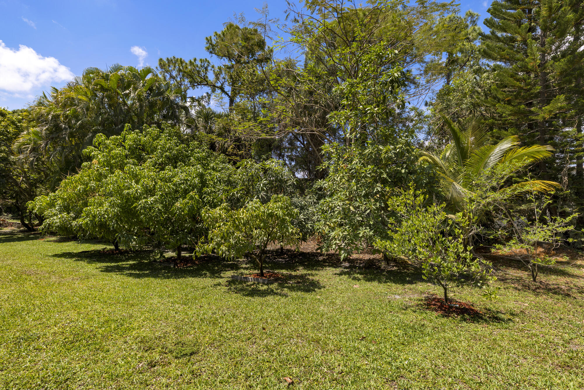 8785 Thousand Pines West Palm Beach, FL 33411