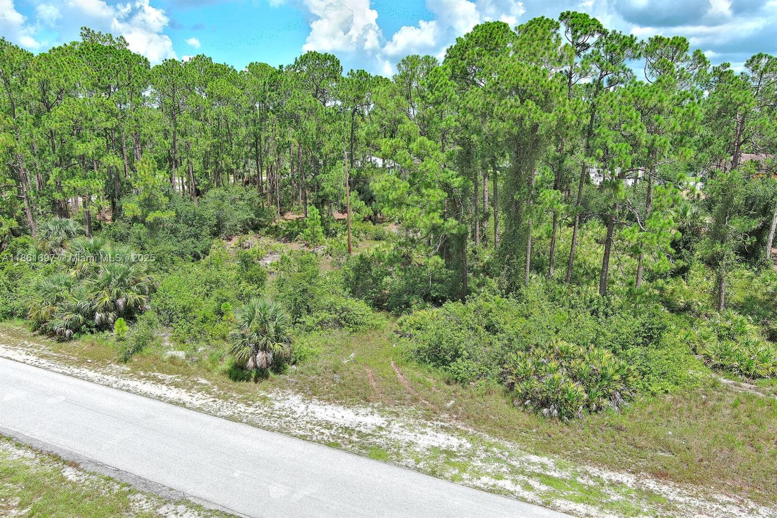 1102 W 16th St Lehigh Acres, FL 33972