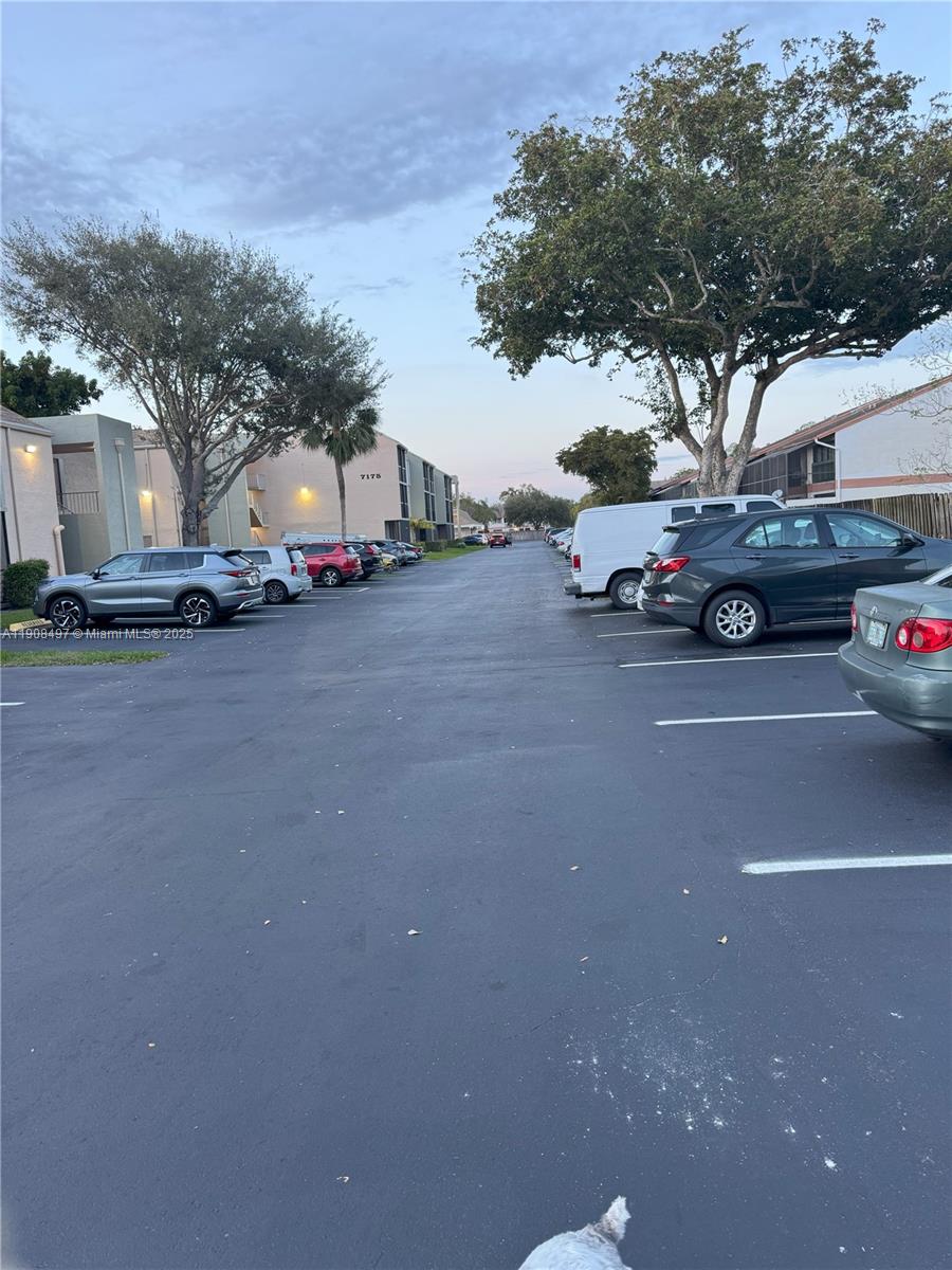 7175 Orange Dr #203H