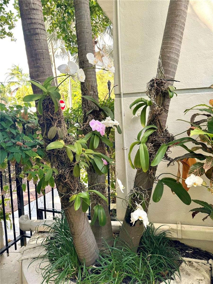 349 Meridian Ave #B202 Miami Beach, FL 33139