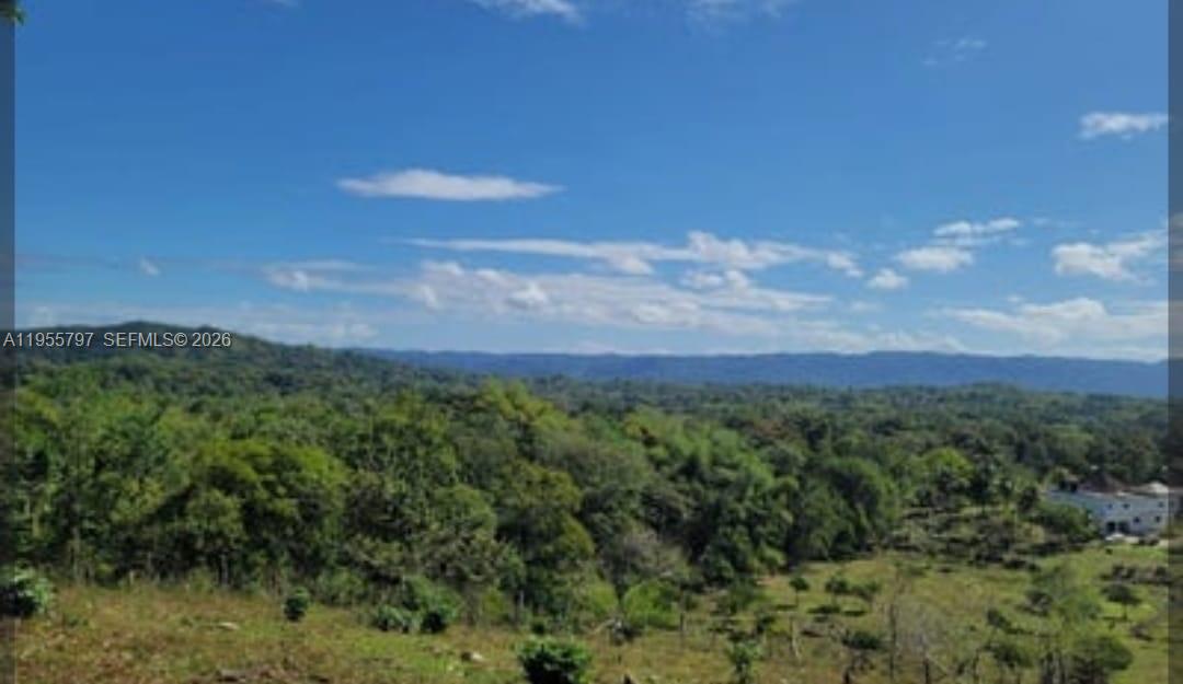 00 Ethel Town, Westmoreland, Jamaica