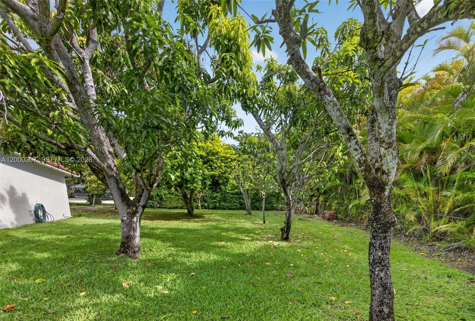 7690 SW 128th St Pinecrest, FL 33156