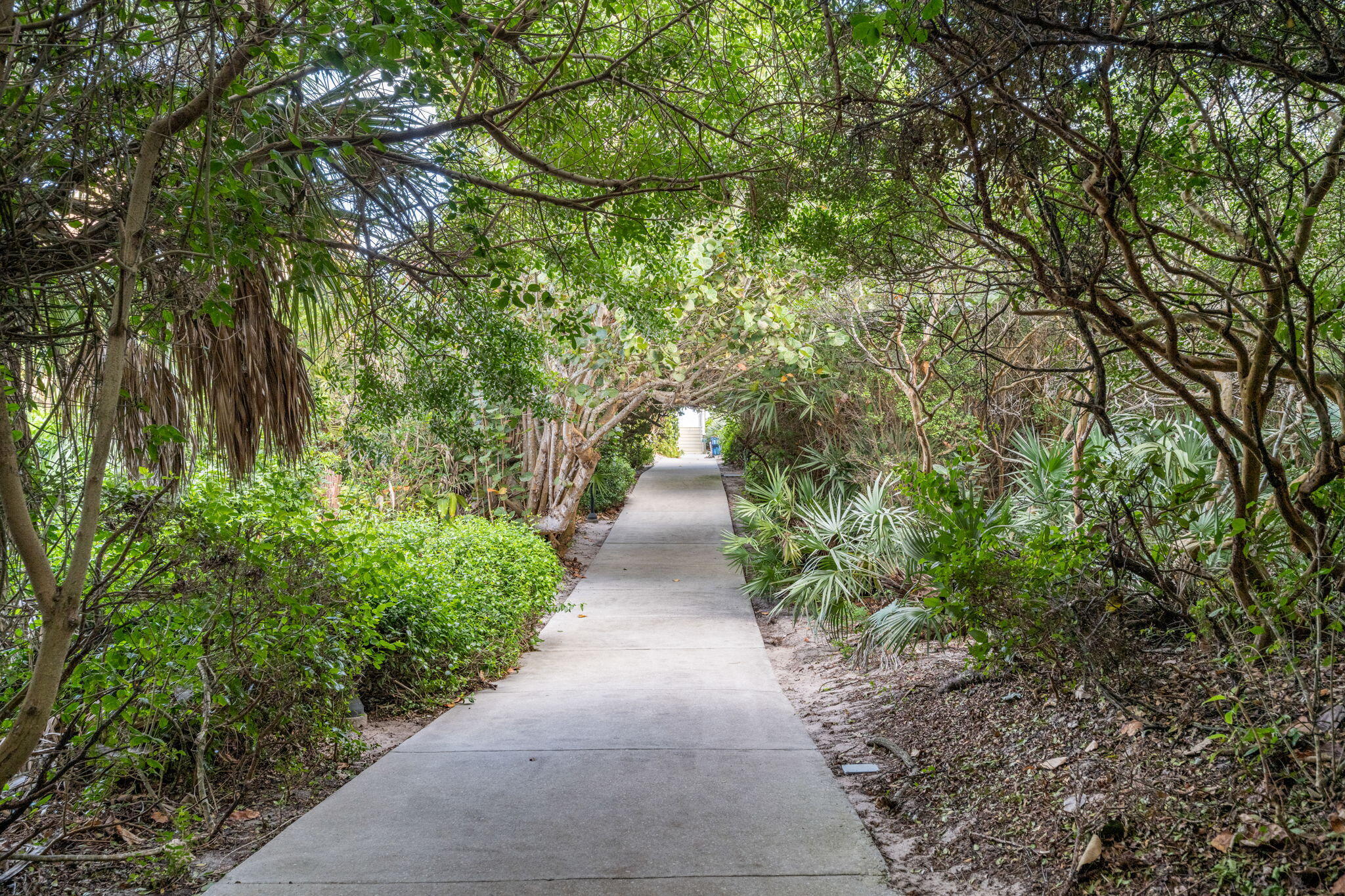 1930 Frosted Turquoise Vero Beach, FL 32963