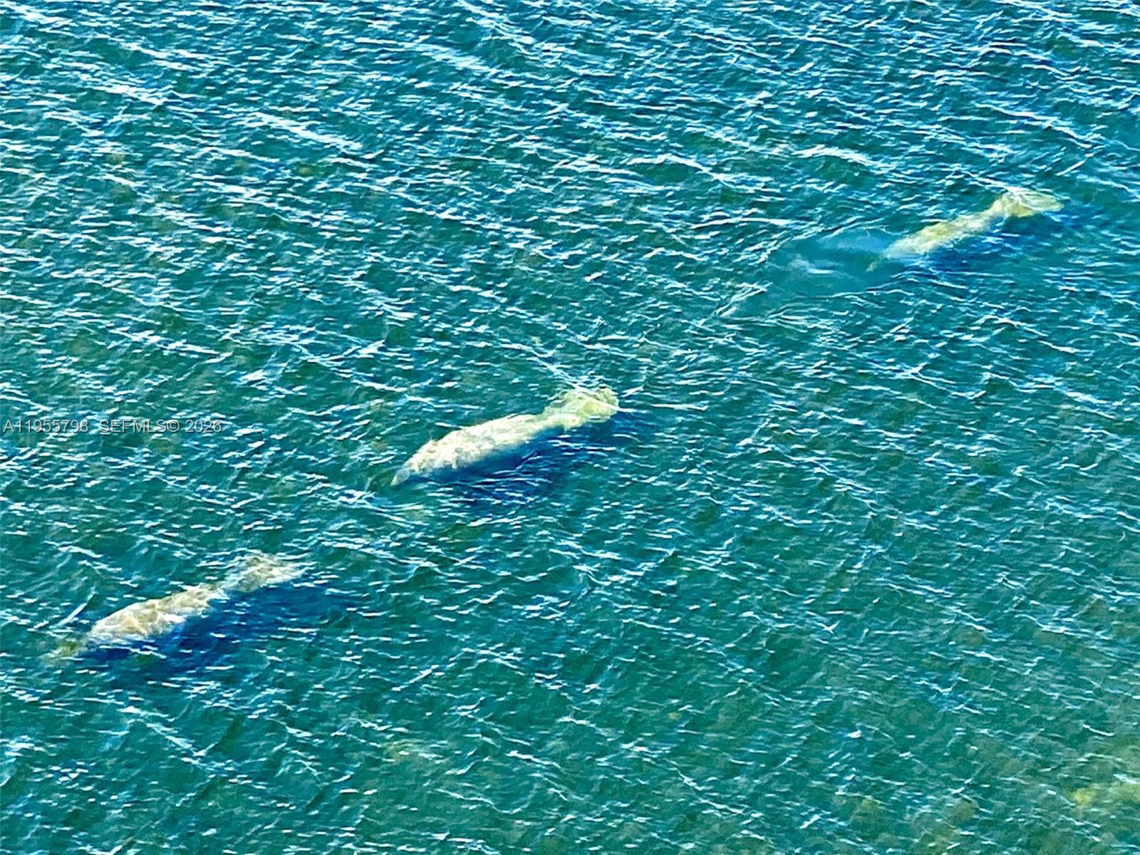 image Brickell Harbour30