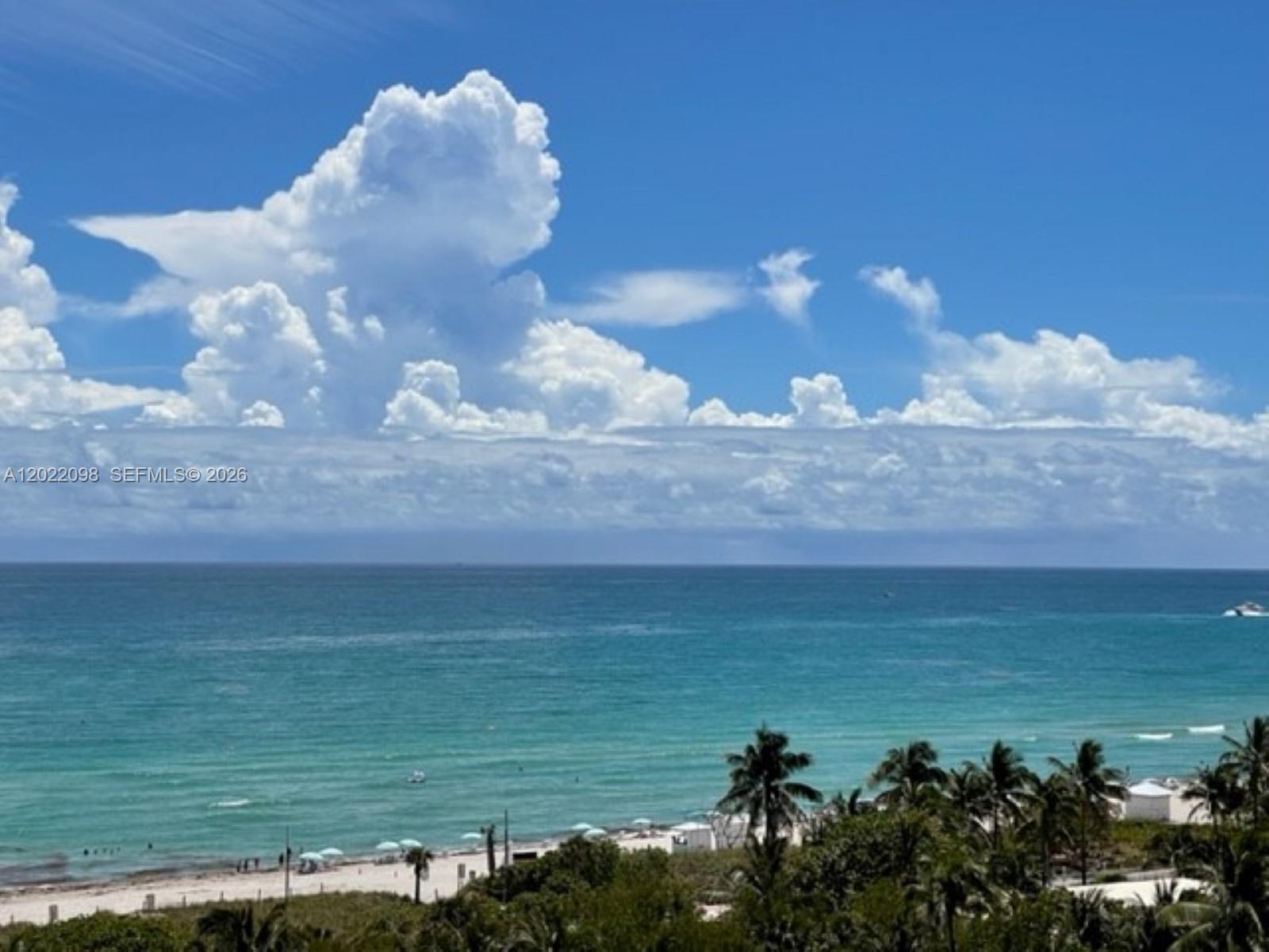 5313 Collins Ave #1004