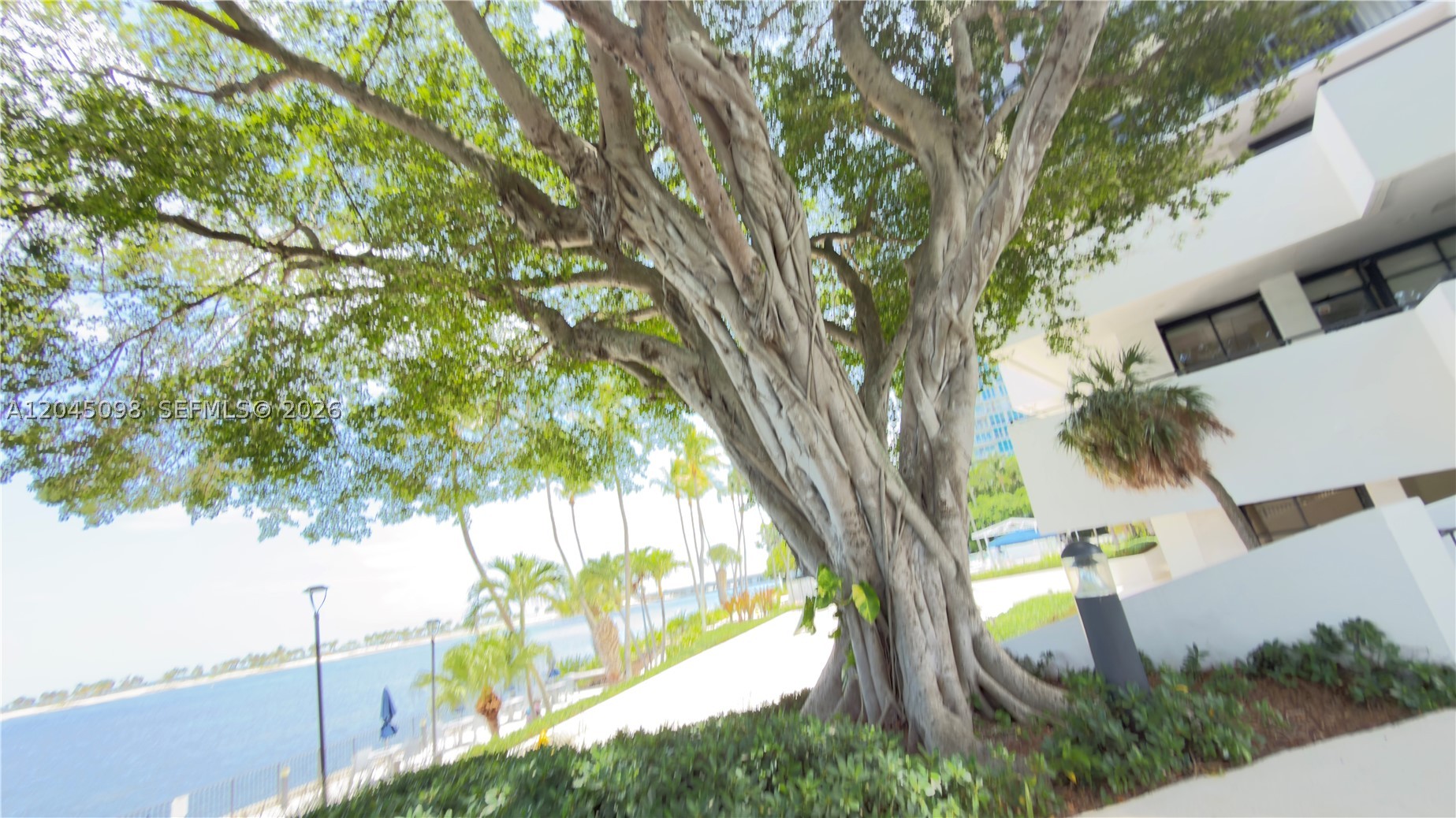 image Brickell Bay Club47