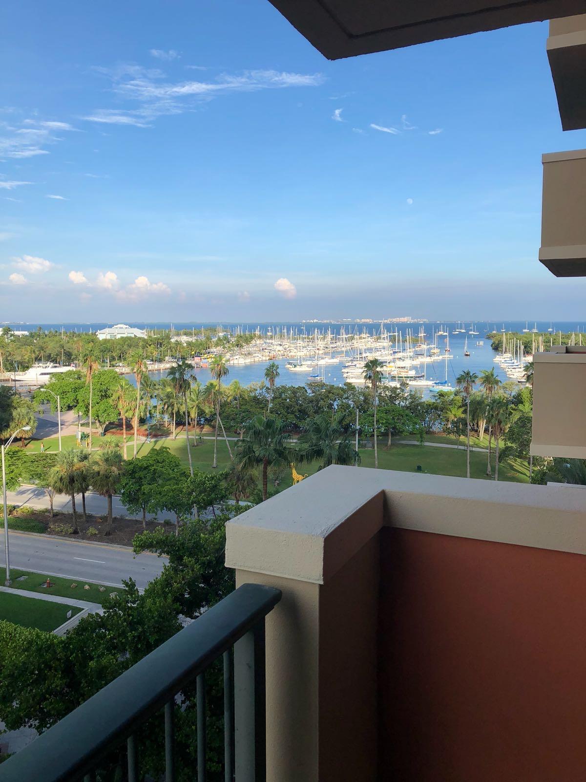 2951 S Bayshore #805 Miami, FL 33133