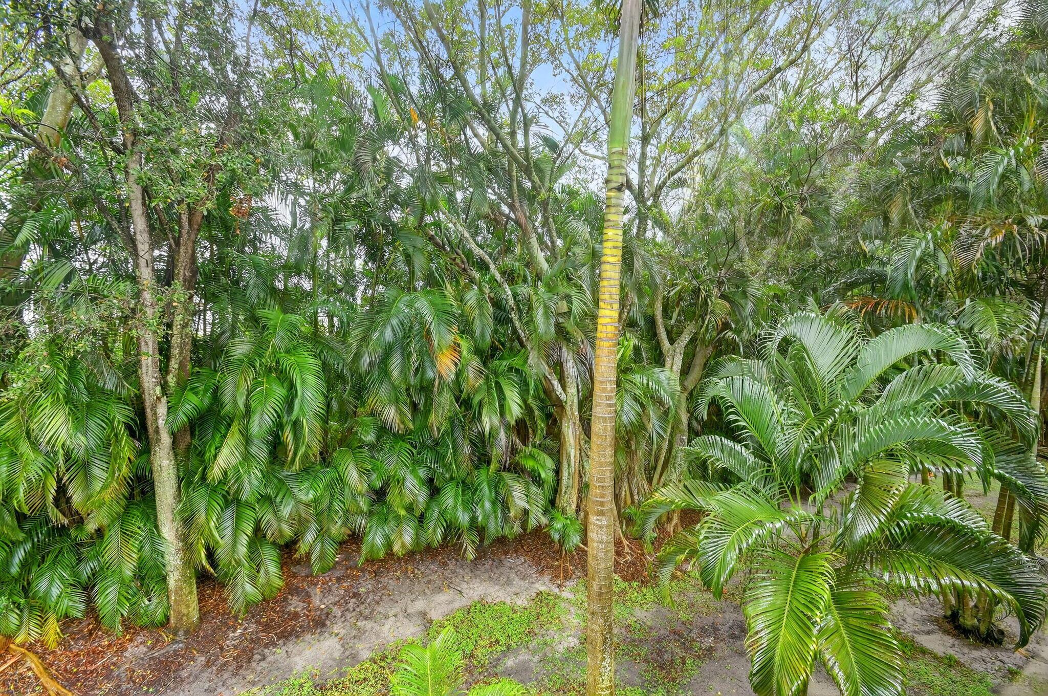 7910 Laina Ln #3 Boynton Beach, FL 33437