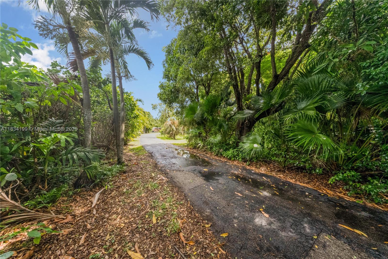 6801 SW 136th St Pinecrest, FL 33156