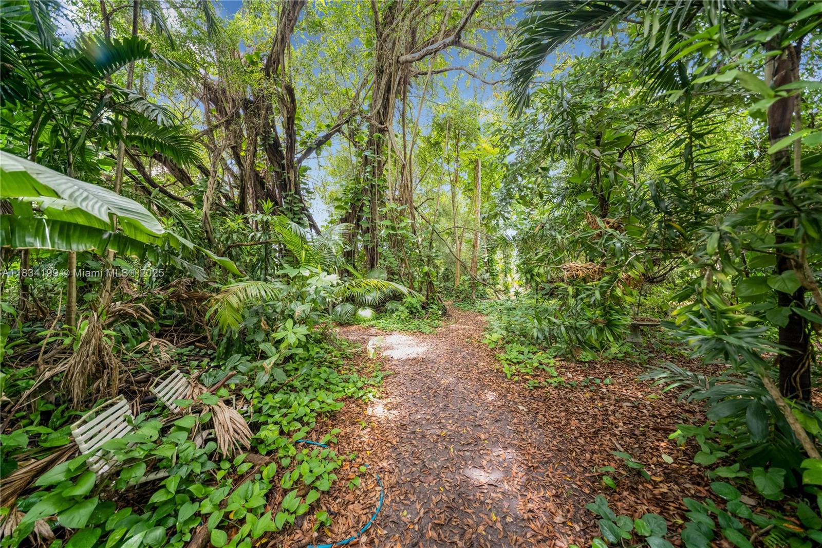 6801 SW 136th St Pinecrest, FL 33156