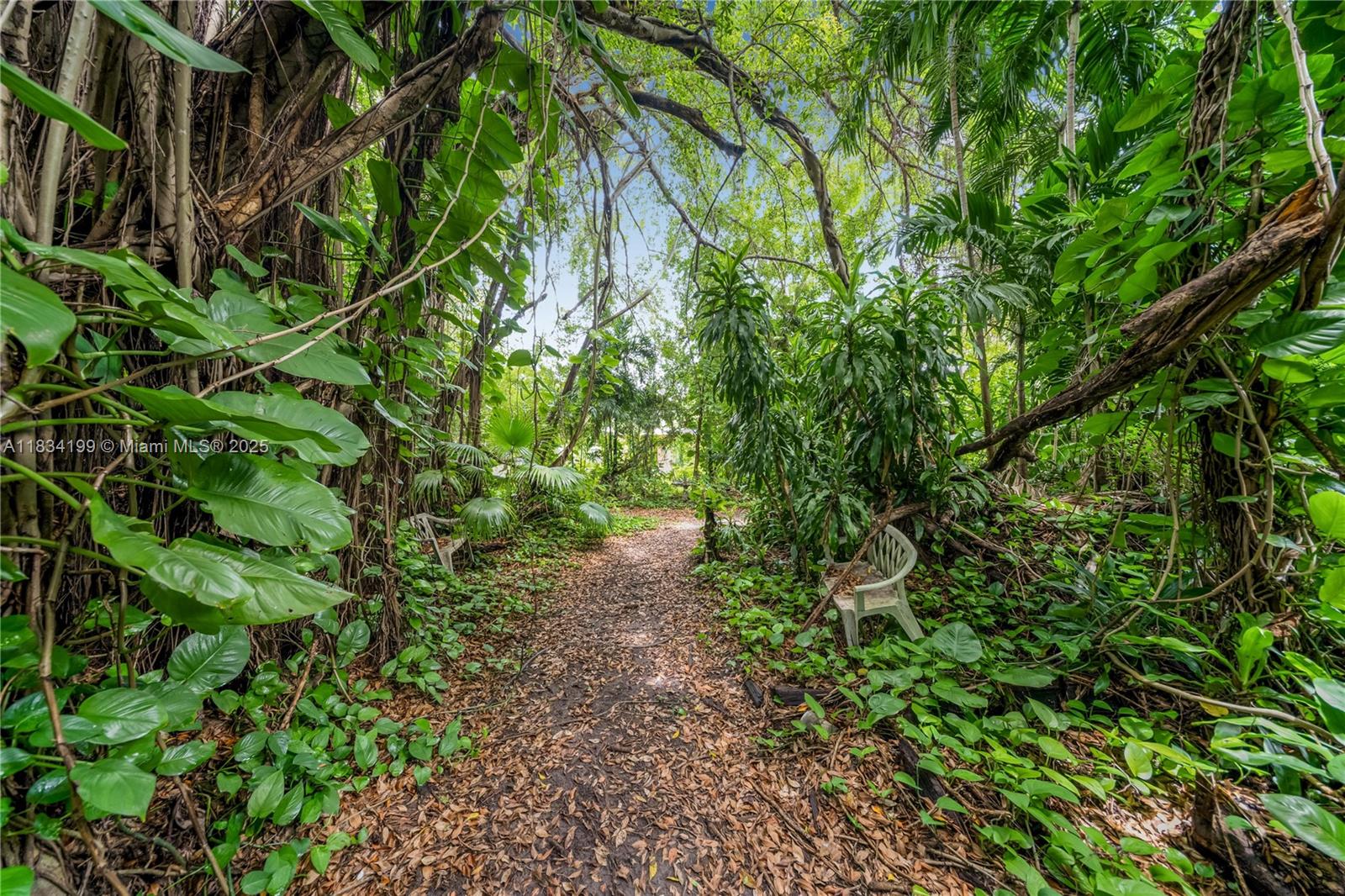 6801 SW 136th St Pinecrest, FL 33156