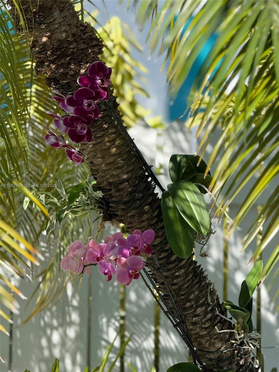 1503 Johnson St Key West, FL 33040