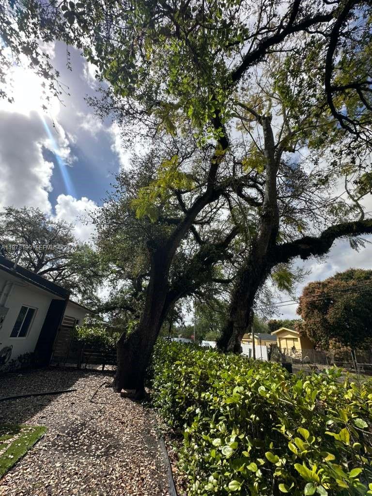 9999 NW 23rd Ave #9999 Miami, FL 33147