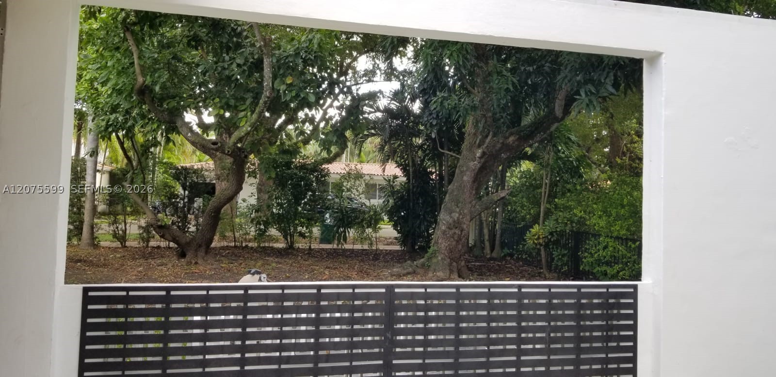 Undisclosed Address Coral Gables, FL 33143