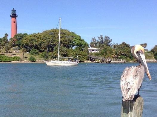 1003 Ocean Dunes Cir Jupiter, FL 33477