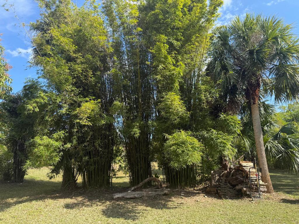 15119 98th Jupiter, FL 33478